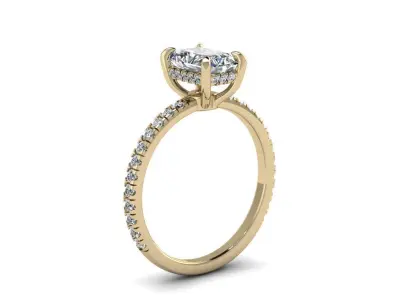 Engagment Jewelry Ring 204 3D print model