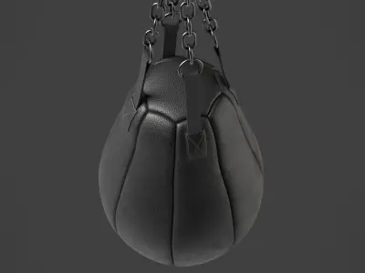 Punching Bag 1 3D model