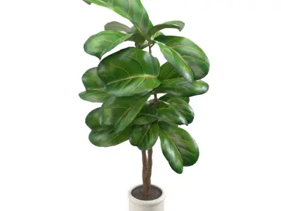 Inch Fiddle Leaf Artificial Tree In White Ceramic Planter PBR 3D model