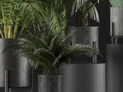 Plants Collection 28 3D model