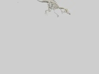 Plesiosaurus Skeleton model Low-poly 3D model