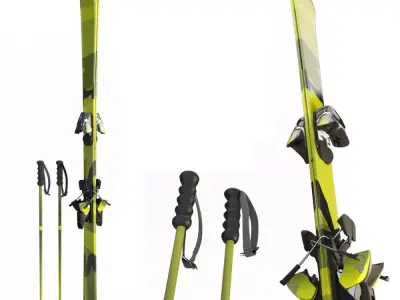 Skis and Sticks 3D model