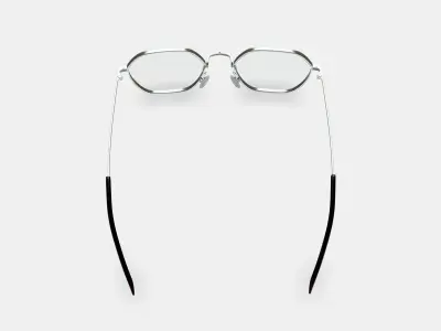 Keiko Eyeglasses in Polished Silver 3D model