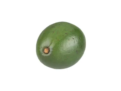 Photorealistic Avocado 3D Scan 3 3D model