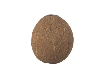 Photorealistic Coconut 3D Scan 3D model