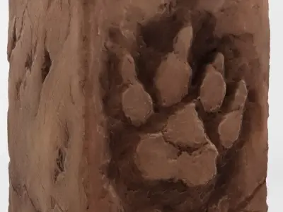 Wolf Statue 3D model