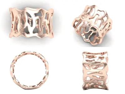 Ring shp4 3D print model