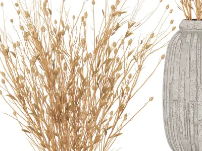 Bouquet - Dry plants 02 3D model