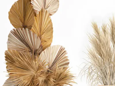 Wedding arch made of dry reeds and palm leaves for decor 1062 3D model