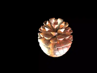Fir Cone 3D model