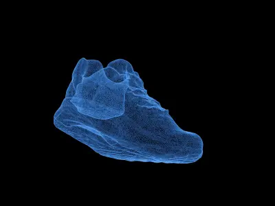 3D Scanned and Optimised Shoe - 2 3D model