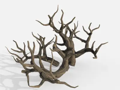 Aquarium Snag Banches V2 3D model