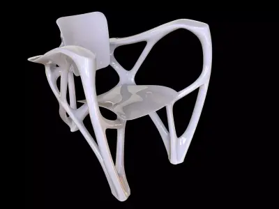 Bone Armchair 3D print model