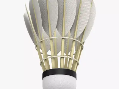 Shuttlecock 3D model