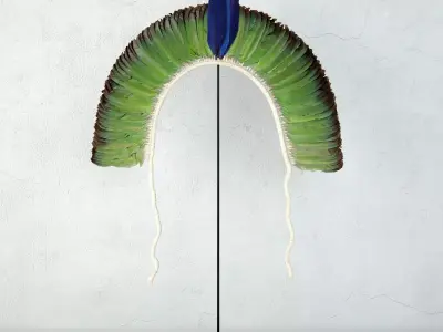 Brazilian Tribal Feather Headdress 3D model