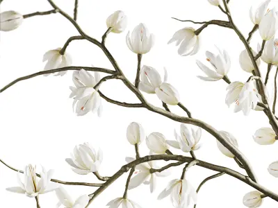 Plants collection set 9 3D model