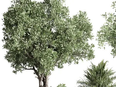 outdoor plant 170 pot old olive tree palm concrete old vase  Low-poly 3D model