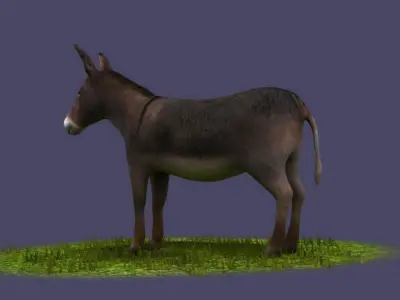 Donkeys ranches livestock breeding mammals 3D model