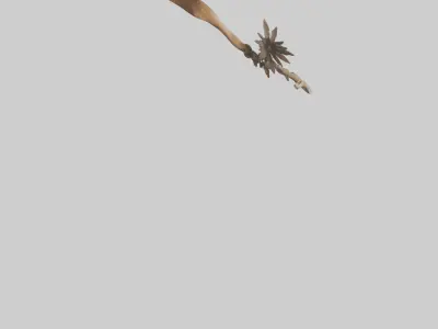 Organic Wall Decor Low-poly 3D model