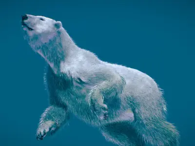 Polar Bear 3D model
