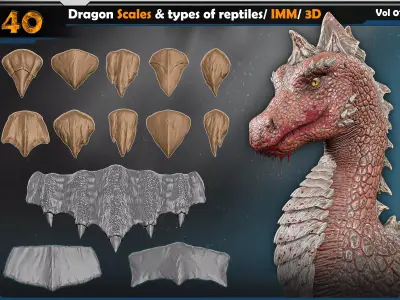 Dragon scales-types of reptiles Vol 01 3D model