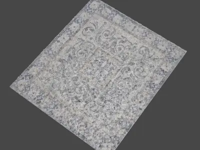 BEAUTIFUL carpet  you can use anywhere 3D model