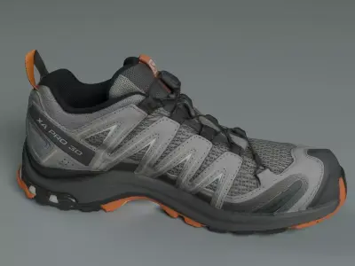 Salmonshoe063 3D model