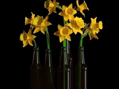 Flowers Collection 05 3D model