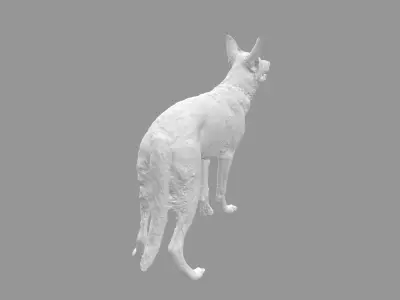 Malinois for 3d printing 3D print model 3D model 3D model