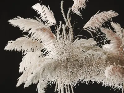 hanging decor of their dried pampas grass 237 3D model