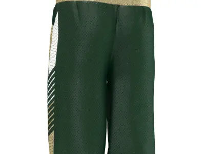 Basketball Jersey Shorts 3D model