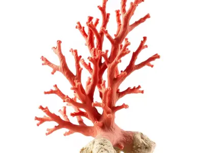 Red Coral Reef model pack Low-poly 3D model