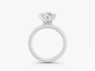 ZJK R025 HIDDEN HALO RING 3D print model
