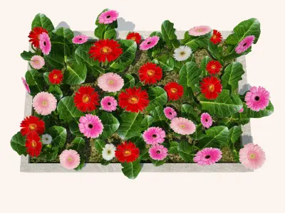 flower planter Free 3D print model