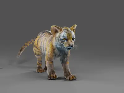 Fur Tiger Cub Rigged and Animated in Blender Low-poly 3D model