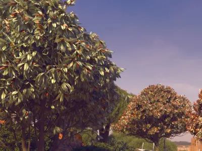 Bronze loquat eriobotrya deflexa young 3D model