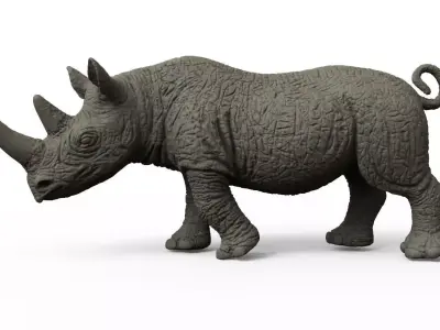 RHINO rhinoceros Low-poly 3D model purchase