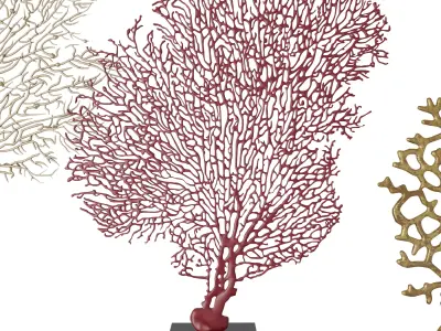 Coral Decoration Collection 3D model