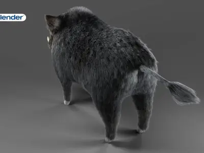 Fur Black Wild Boar NO Rigged in Blender Low-poly 3D model