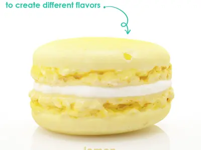 Rose Macaron and Sea salt caramel Macaron 3D print model