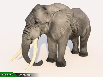 Elephant Animated Lowpoly Low-poly 3D model