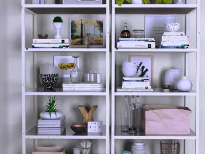 Shelves with decor 3D model