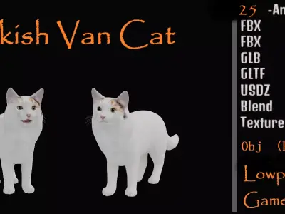 Turkish Van Domestic Cat Low-poly 3D model