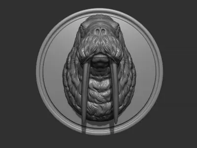 Walrus head 3D print model