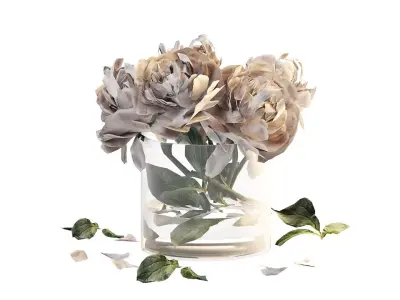 Bouquet of peonies in a glass vase 3D model