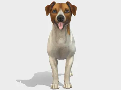 Dog - Jack Russell Terrier Low-poly 3D model