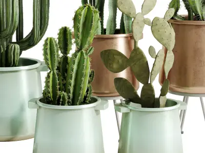 Cactus Collection in a metal pot - indoor plants 685 3D model