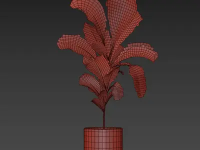 indoor plant 024 3D model
