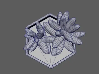 Sedum Golden Glow Copper Potted Cacutus 3D model