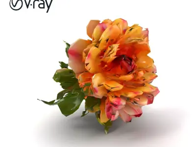 Ranunculus Flower Realistic Texture Model Pack Low-poly 3D model